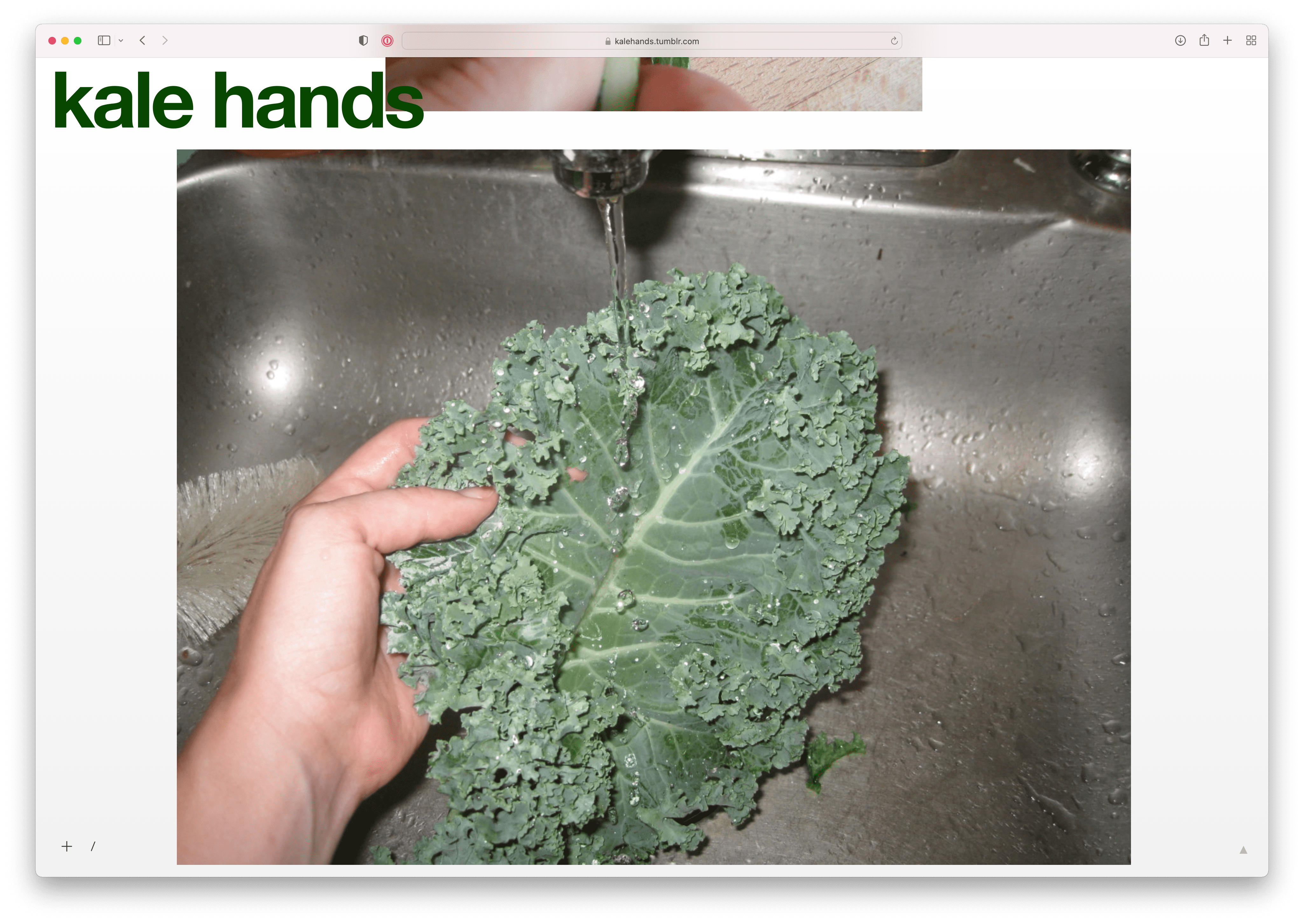kale hands